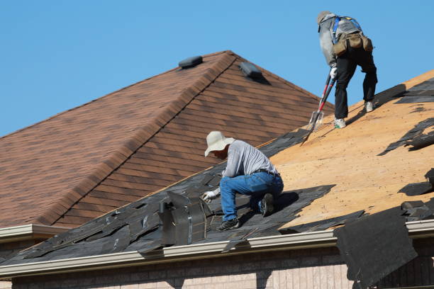 Best Roof Moss and Algae Removal  in Geneva, IL